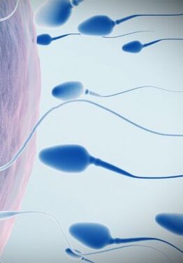 Spermogram at low potency